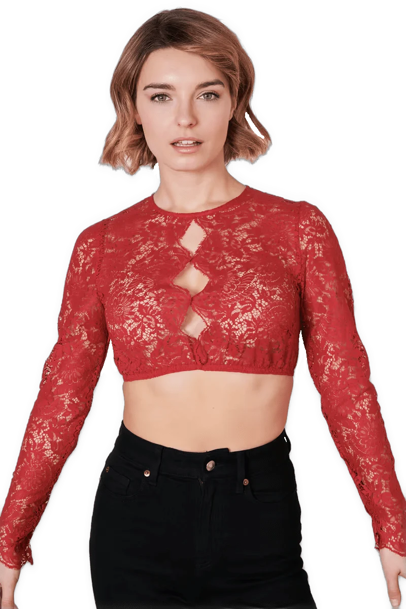 Dirndlbluse Krüger Collections, hochgeschlossen, langarm, Raffaella, rot, beere
