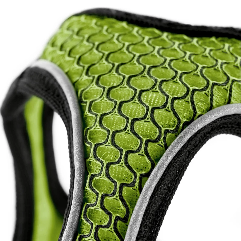HILO Set Geschirr & Leine | limette