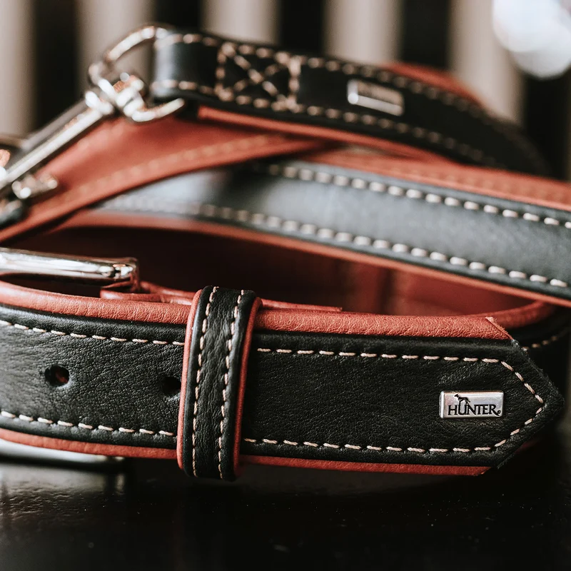 CANADIAN UP Set Halsband & Leine | schwarz/cognac