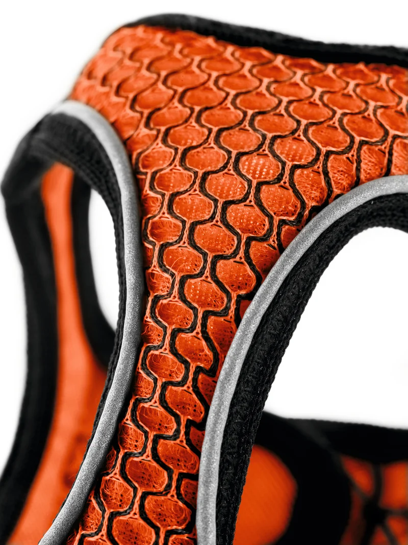 HILO Set Geschirr & Leine | orange
