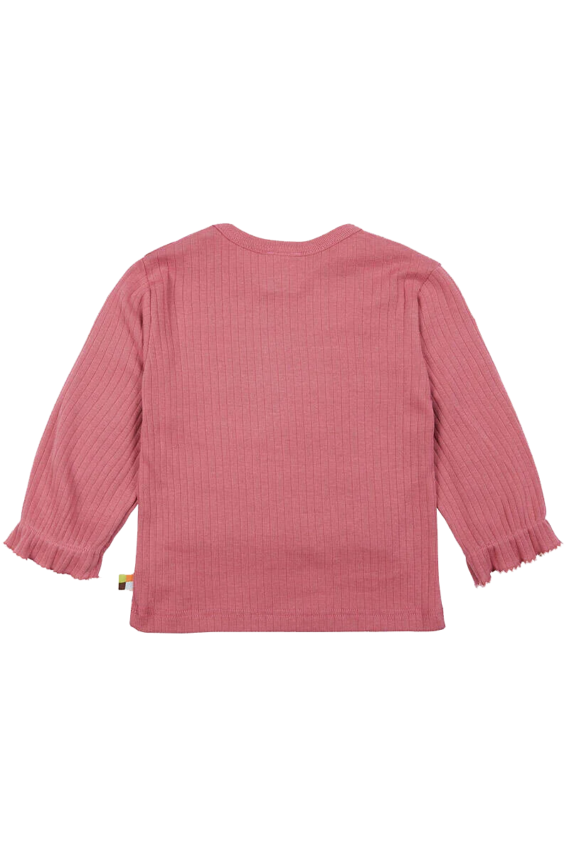 Langarm-Shirt Waldtiere Baby und Kleinkind
