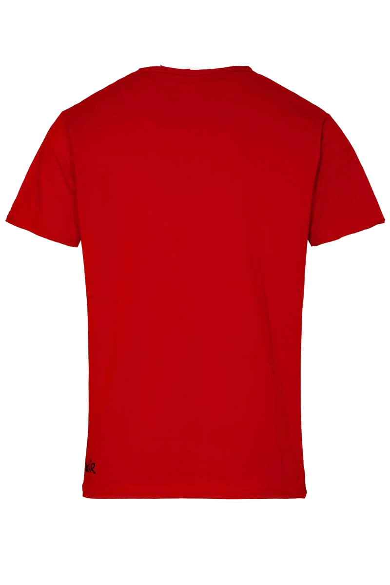 Herren Stretch T-Shirt 'Alpen Rock'