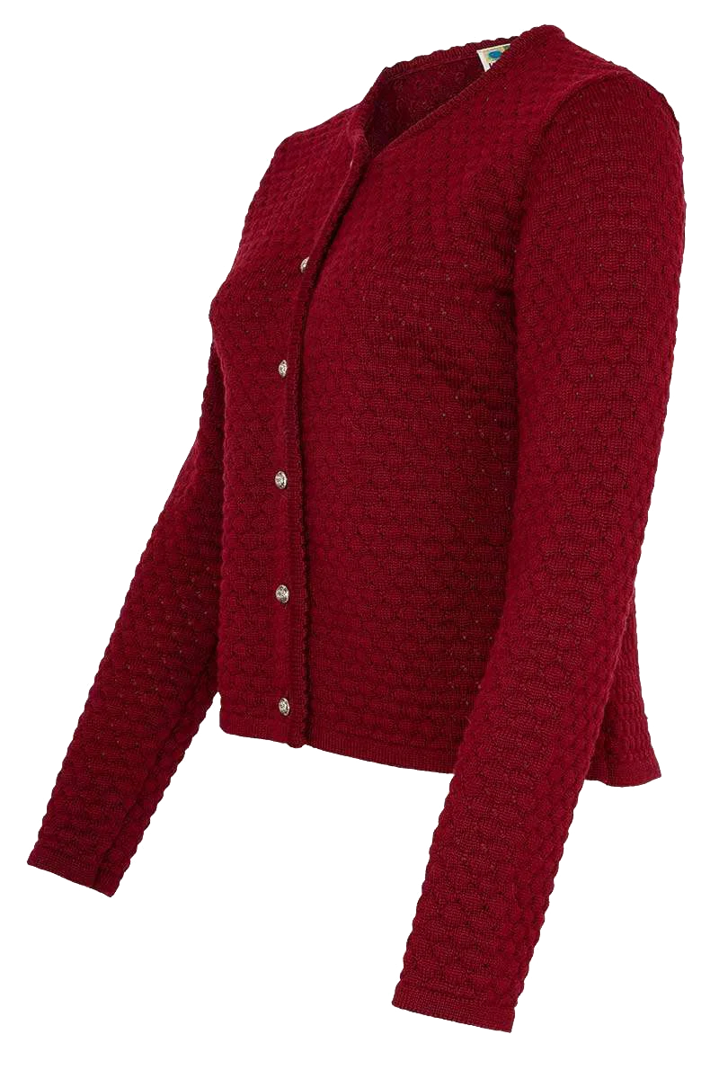 Damen Dirndljacke